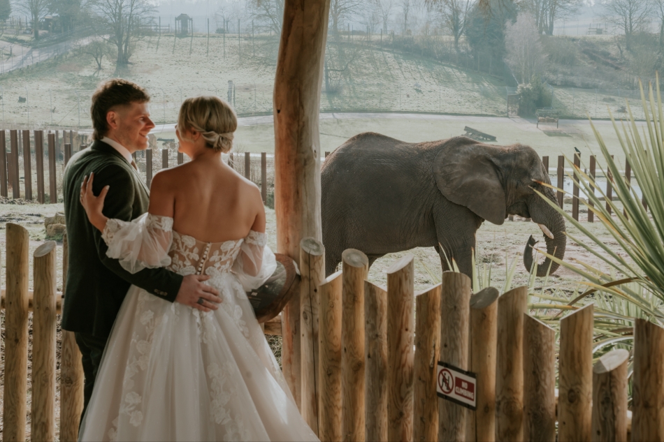 Gallery image 15: west-midlands-safari-park-ltd