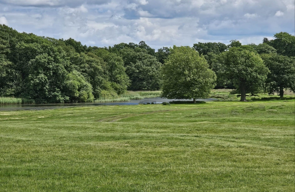 Gallery image 7: stapleford-estate-parkland