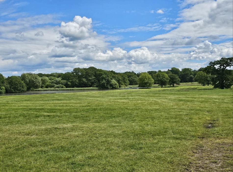 Gallery image 8: stapleford-estate-parkland