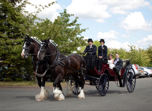 Warwick Shire Horse Carriages