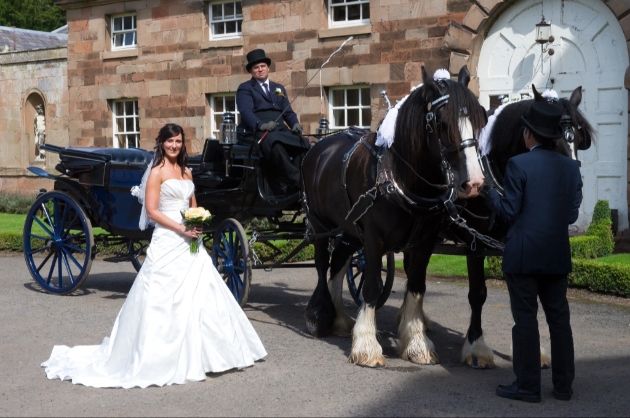 Bride and Warwick Shire Horse Carriages