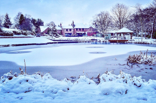 Moddershall Oaks in the snow