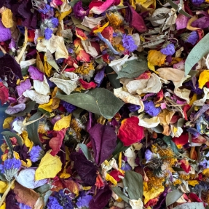 Ezra's Confetti