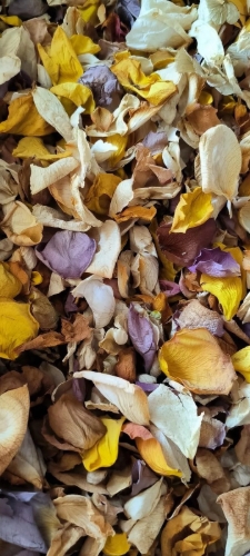 Ezras Confetti